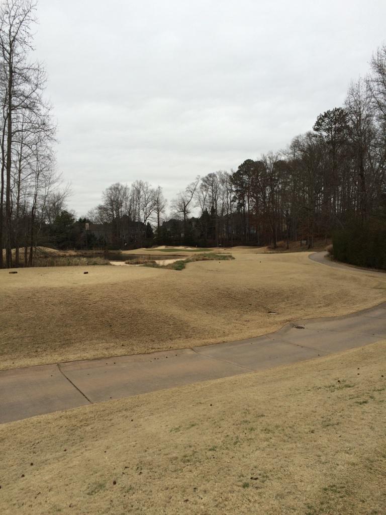 Dedicated <a href="/brengolf_/">Bren</a> #standardclub
