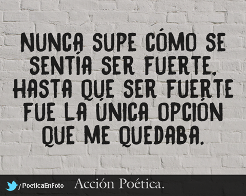 patadademulamx's tweet photo. http://t.co/oBgk12sbWj