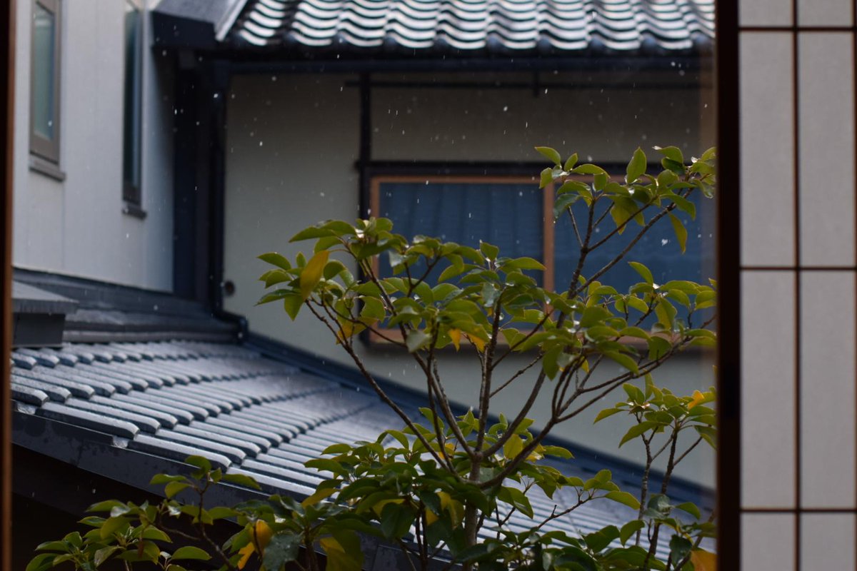 It snowed this morning in Kyoto.