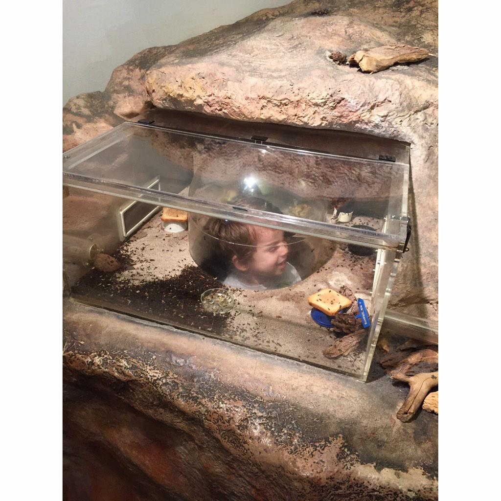 chriscarol99's tweet photo. 🐜 Visita a casa delle formiche 🐜 #formicaio #chris #esplora #bellolui #amoremio ❤️ http://t.co/YByjIbRwJb