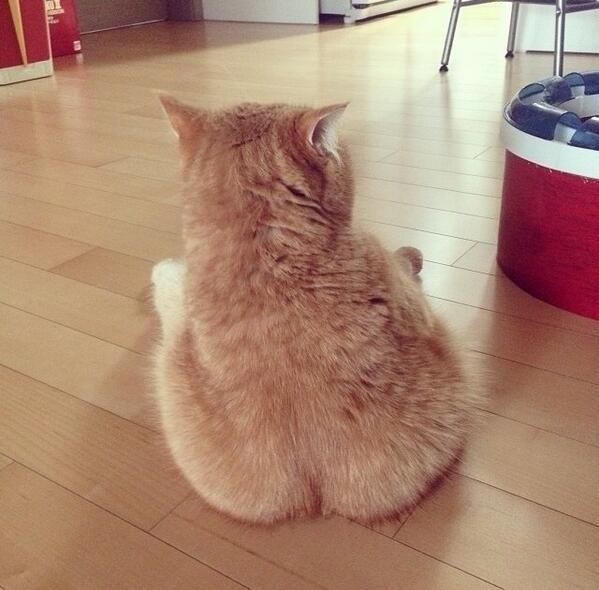 faynoglavpost's tweet photo. http://t.co/en0wNvv8sK
