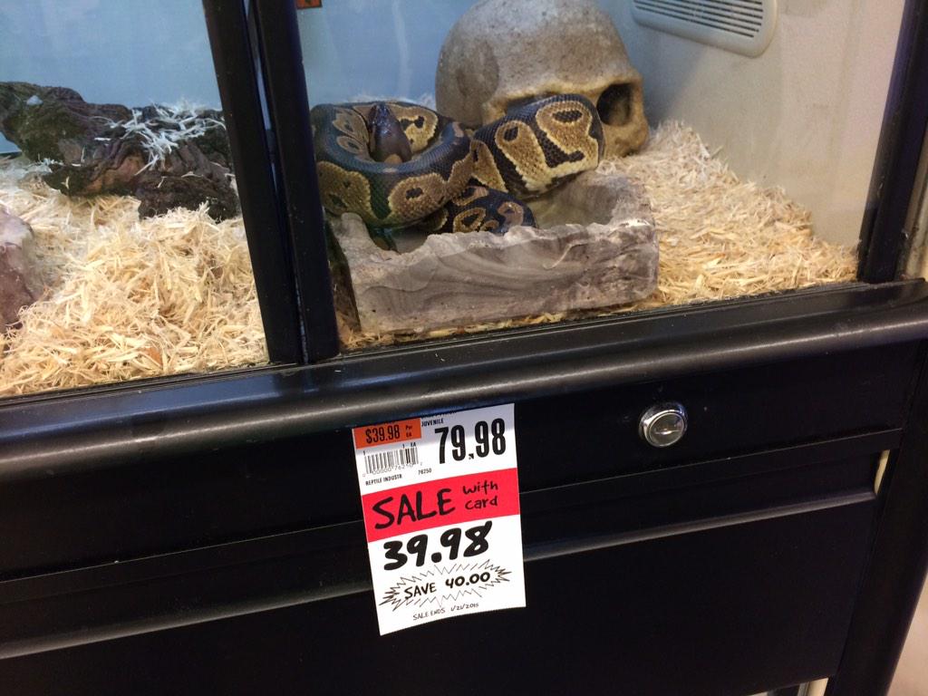 simon_prickett's tweet image. Half price actual #Python #notcoding