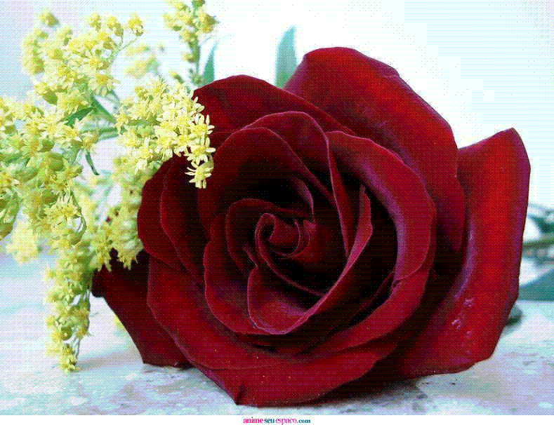 joevvin tweet picture