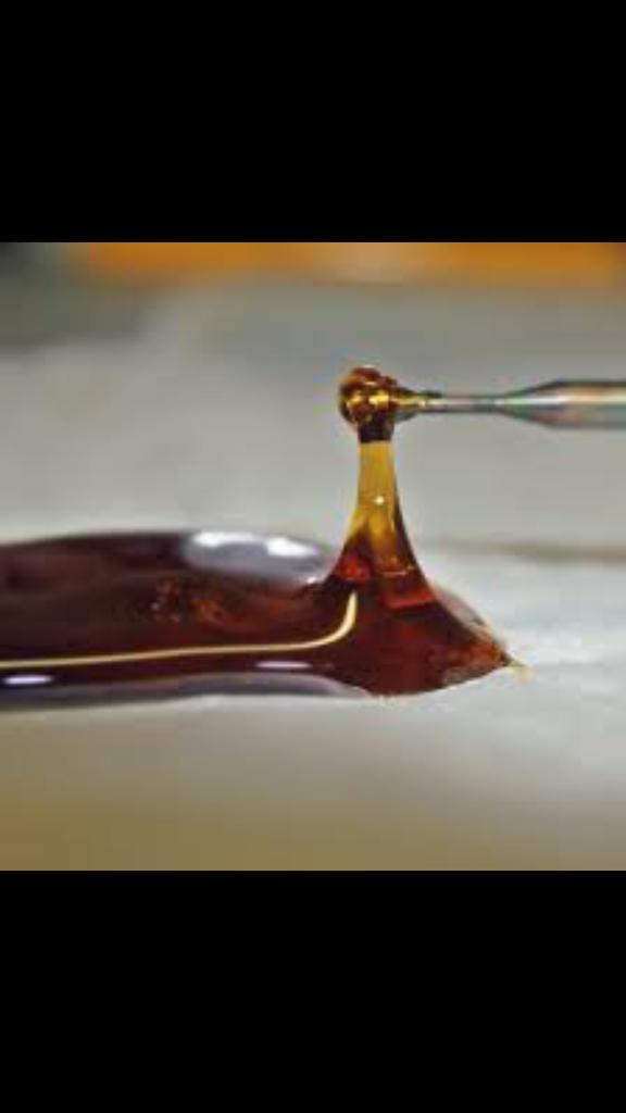 _Truffle_Report's tweet image. I ain't got no type.