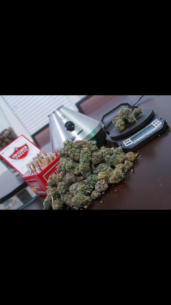 _Truffle_Report's tweet image. I ain't got no type.