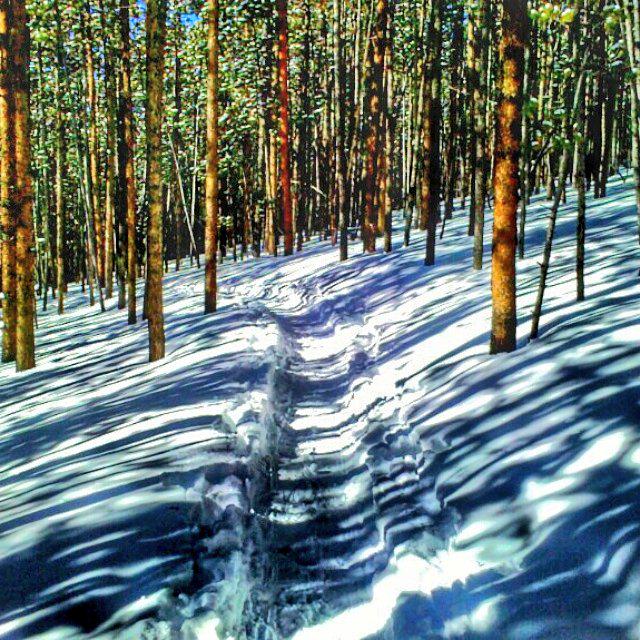 katiep18's tweet image. Sunday Funday #iheartnh #tnflocals #tnfcontest #neverstopexploring #hikethewhites #603 #ambsdr #seeforyourself