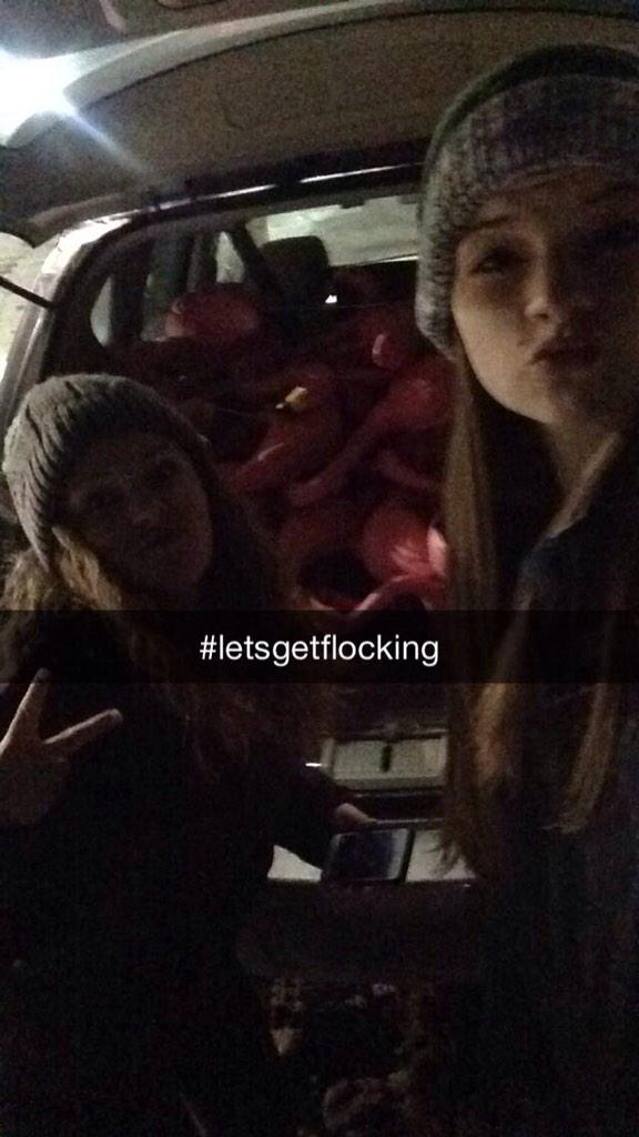 amy_lynn55's tweet photo. Flamingo flocking😏 #letsgetflocking http://t.co/TXE17RKmdy
