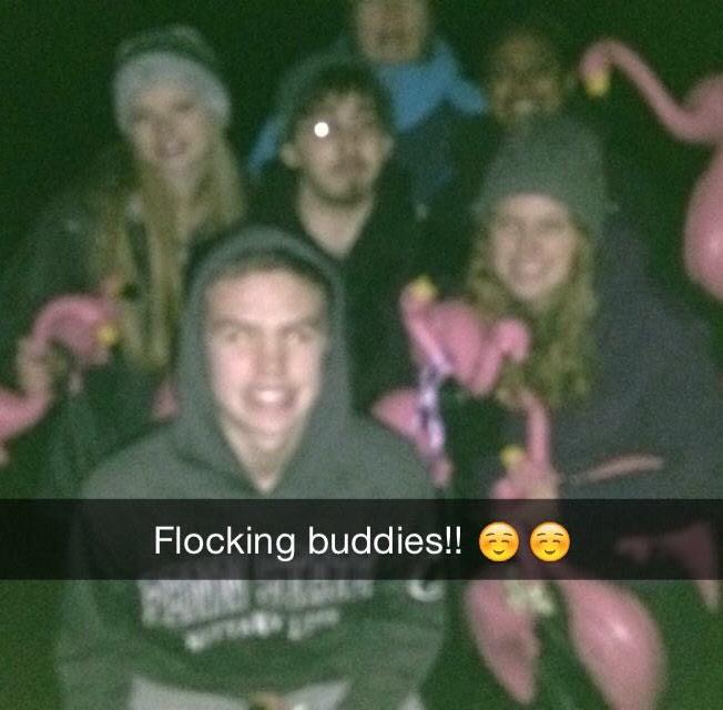amy_lynn55's tweet photo. Flamingo flocking😏 #letsgetflocking http://t.co/TXE17RKmdy