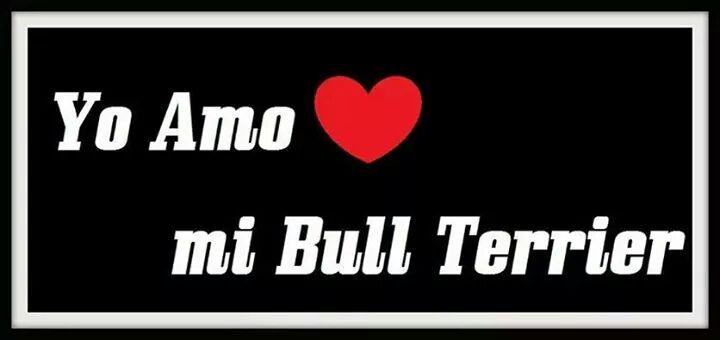 marigonzalez09's tweet photo. http://t.co/wdFwllI7YK