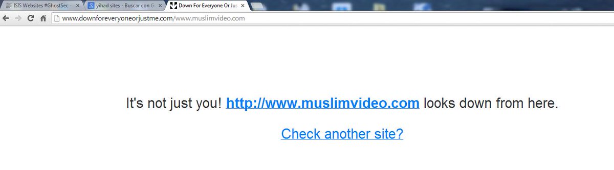 AnonOpsCABA's tweet photo. #OpCharlieHebdo   http://t.co/0E7kbYJopD is #DOWN by @Bug_Mind and @Sector_404 La Libertad de expresion no se negocia http://t.co/Khy3skA6PL