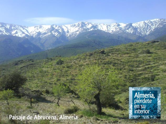 AlmeriaInterior's tweet photo. Buenos días, sal, respira http://t.co/0cb1WaP3Ax