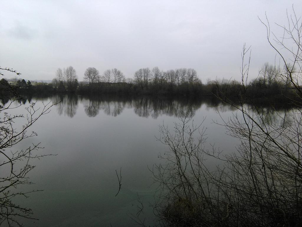 iocat's tweet photo. Visited the hidden Tukwila Pond today with @kickarse77. It's surrounded by strip malls at Southcenter. #secretseattle http://t.co/Ak6O55CRTA