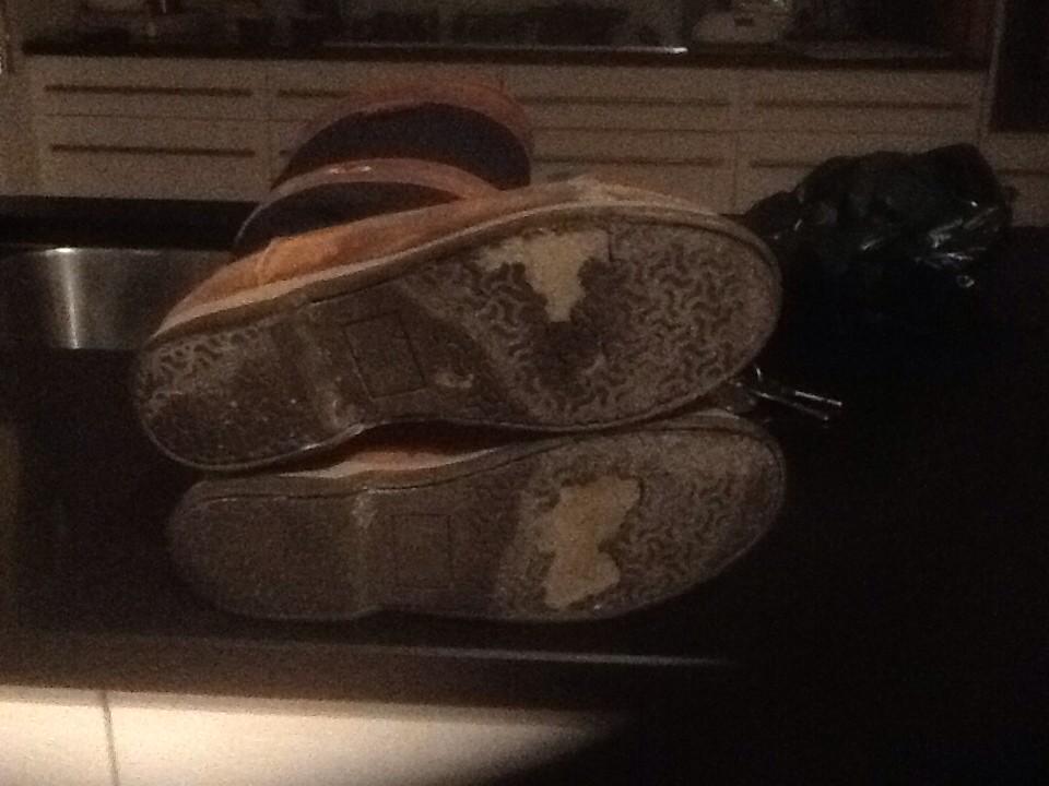 Nick Searle on Twitter Can you repair my beloved