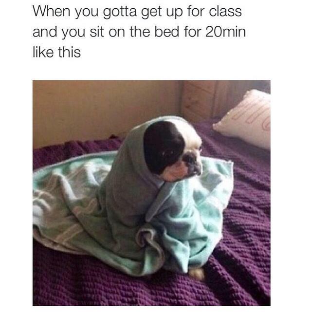 shazmcdo's tweet photo. Worst sleep last night. Kill me now. #DentalHygieneProblems #college #hatemondays #tired http://t.co/M5Is3RqBrG