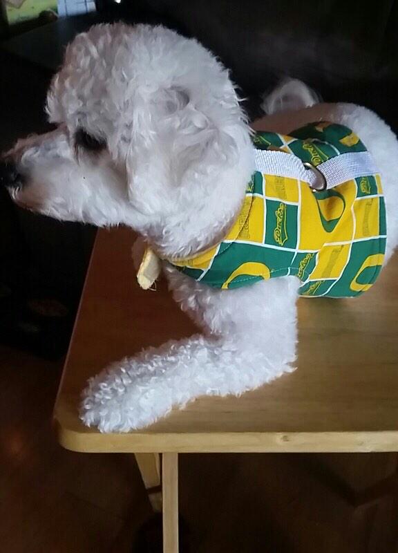 DustanJohnson's tweet image. @DustanJohnson #2ducks