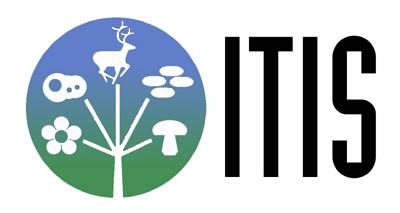 Find out how BHL is helping ITIS improve organization of &amp; access to standardized nomenclature ow.ly/HaNOB