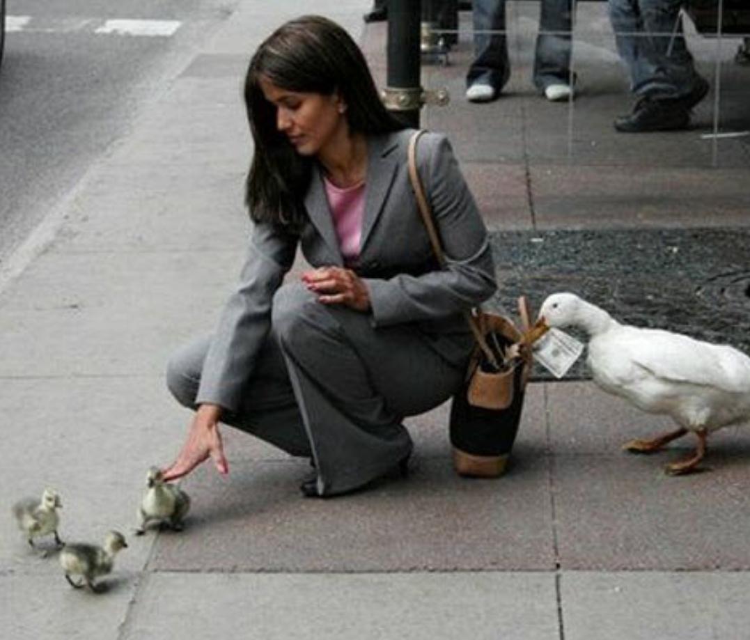 RJennromao's tweet image. .@puremadangel: @TammyEssam http://t.co/YK19JuzGUG” #MCYS #CAS @MinPeterMacKay @m_meilleur @ontmag about #jobprotection not #kidprotection