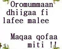 oromiiyaa's tweet photo. http://t.co/rkZ7GjbKdZ