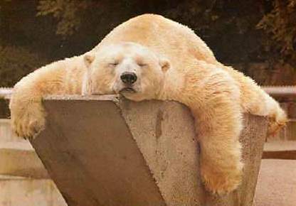 WBShoreditch's tweet photo. Do your laundry from your sofa. Schedule at http://t.co/aqUv9NWBcl and relax while we take care of the rest http://t.co/7itj0q2dlj