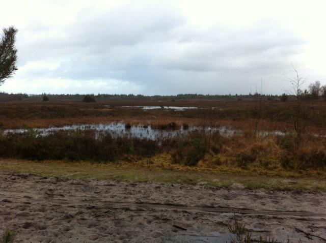 Jouwfeestmijnza's tweet photo. Gisteren wandeling begeleid #ossenstal Epe, renderklippen. Grote groep, prima weer. Heerlijk uitwaaien. Dank! http://t.co/f74x6V4H4T