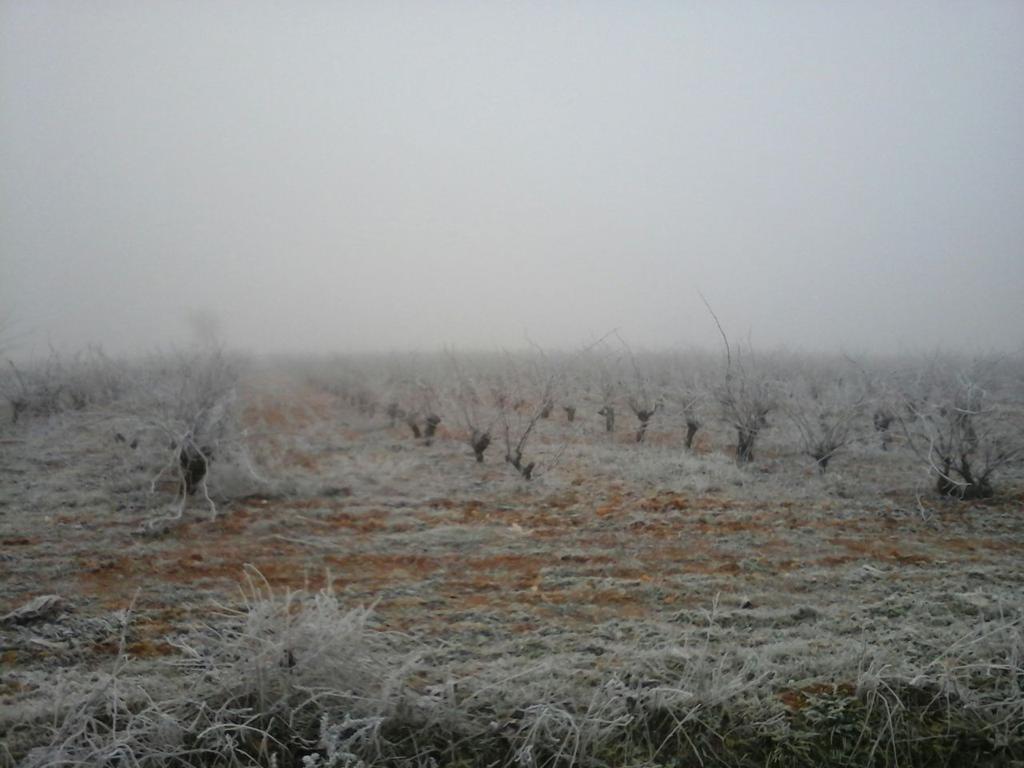 AlvaroAlcantur's tweet photo. "@TuGranViaje: #Cercellada en #Rueda, cortesía de #YovannaCorona http://t.co/TOtv3Vl3iN"