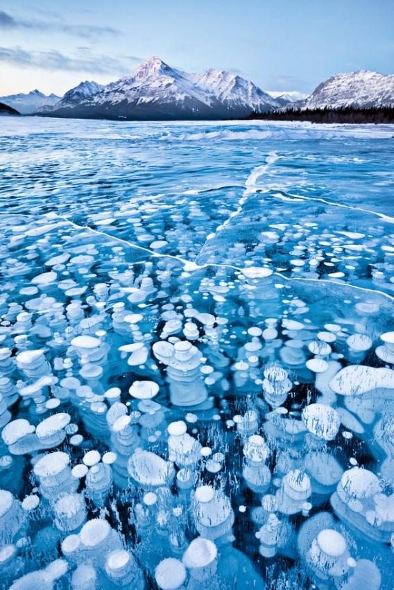 트위터의 日本旅情報局 님 寒い冬だからこそ見たい 世界の氷の絶景 アブラハム湖 カナダ スカフタフェットル国立公園 アイスランド 氷の花畑 南極 北極 木崎湖 日本 Http T Co Atwcqa69kd Http T Co Am5kevi3uk