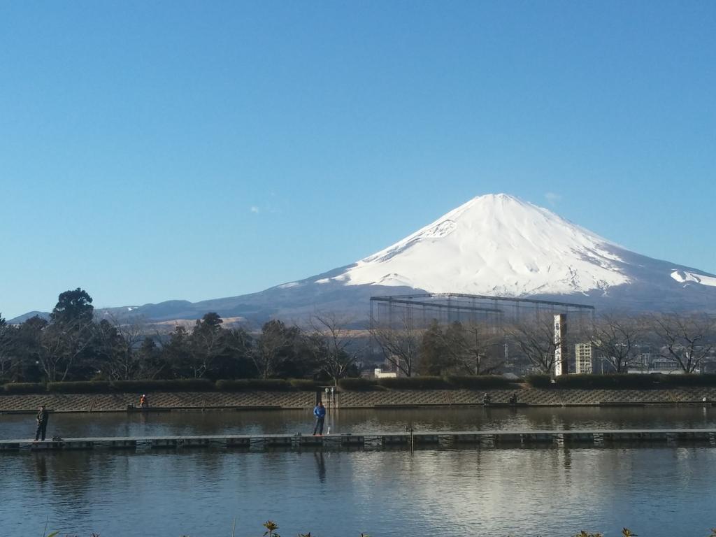 誰かが投げたボール بحث في تويتر