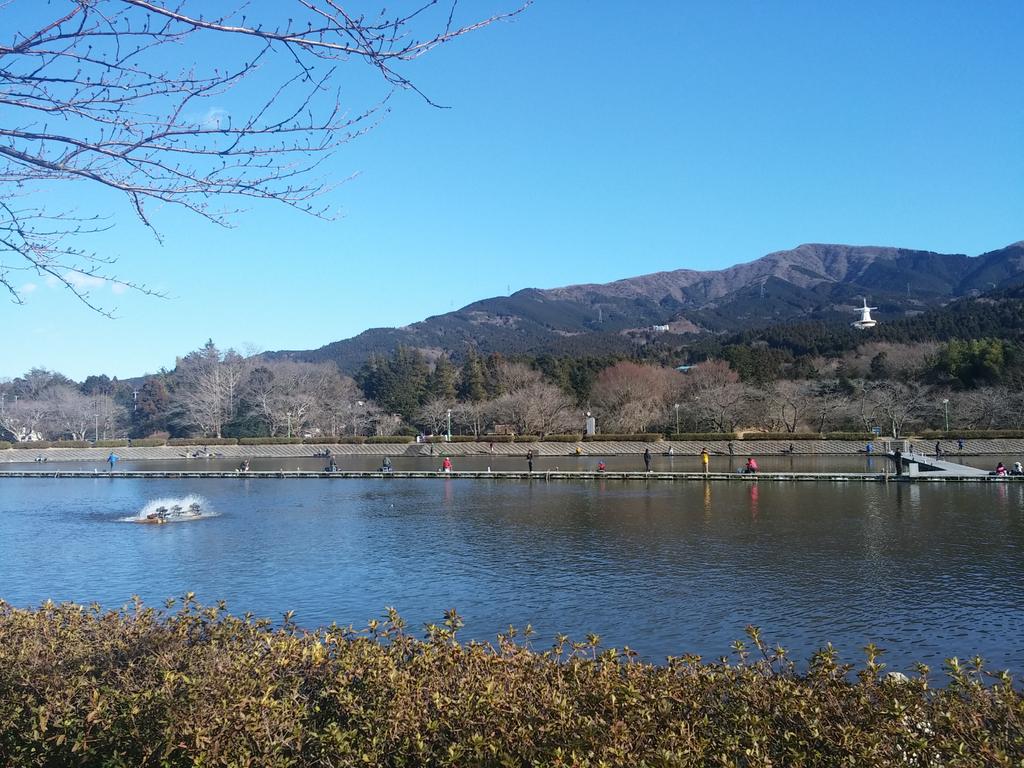 誰かが投げたボール بحث في تويتر