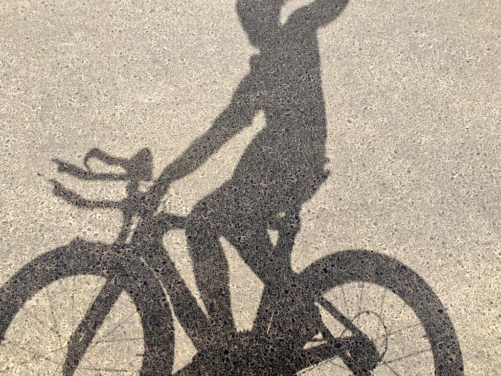 FansFernAlonso's tweet photo. 108km - 3:56h Seguimos avanzando...
108km - 3:56h Keep moving...
#Alo2015 #lettaAllien http://t.co/gub1kRKGhH