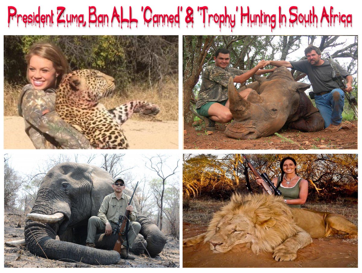 Protect_Wldlife's tweet photo. PLEASE SIGN &amp; SHARE: President Zuma, Ban ALL 'Canned' &amp; 'Trophy Hunting In S.A.  http://t.co/ERoTtwWQ83 @rickygervais http://t.co/EP6u42GBRx