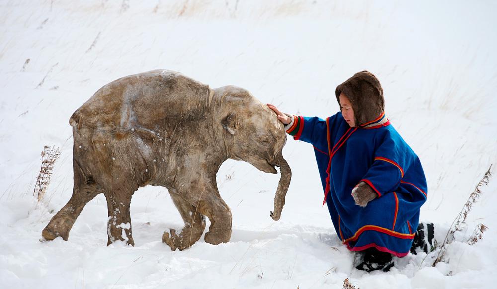 мы родились в сибири новое