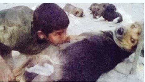 والله لا اعرف من الكلب ؟!
العرب ام انت!!