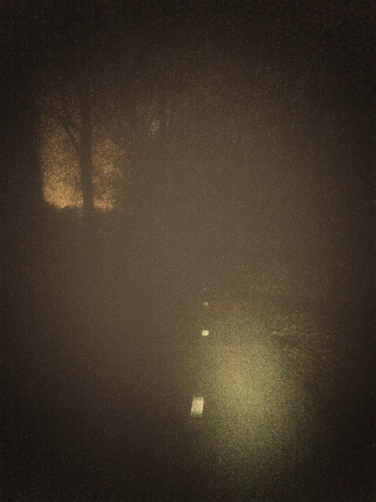 Bron: Mooi Heiloo
