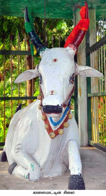 Prabhumcsab's tweet photo. TamilNadu #Moovalur Peoples constructed statue for jallikattu bull
Jallikattu is a traditional game 
@PetaIndia @peta http://t.co/rsVHtoA3PA