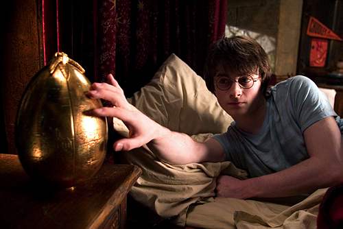 El ganador es... ¡Harry Potter!
