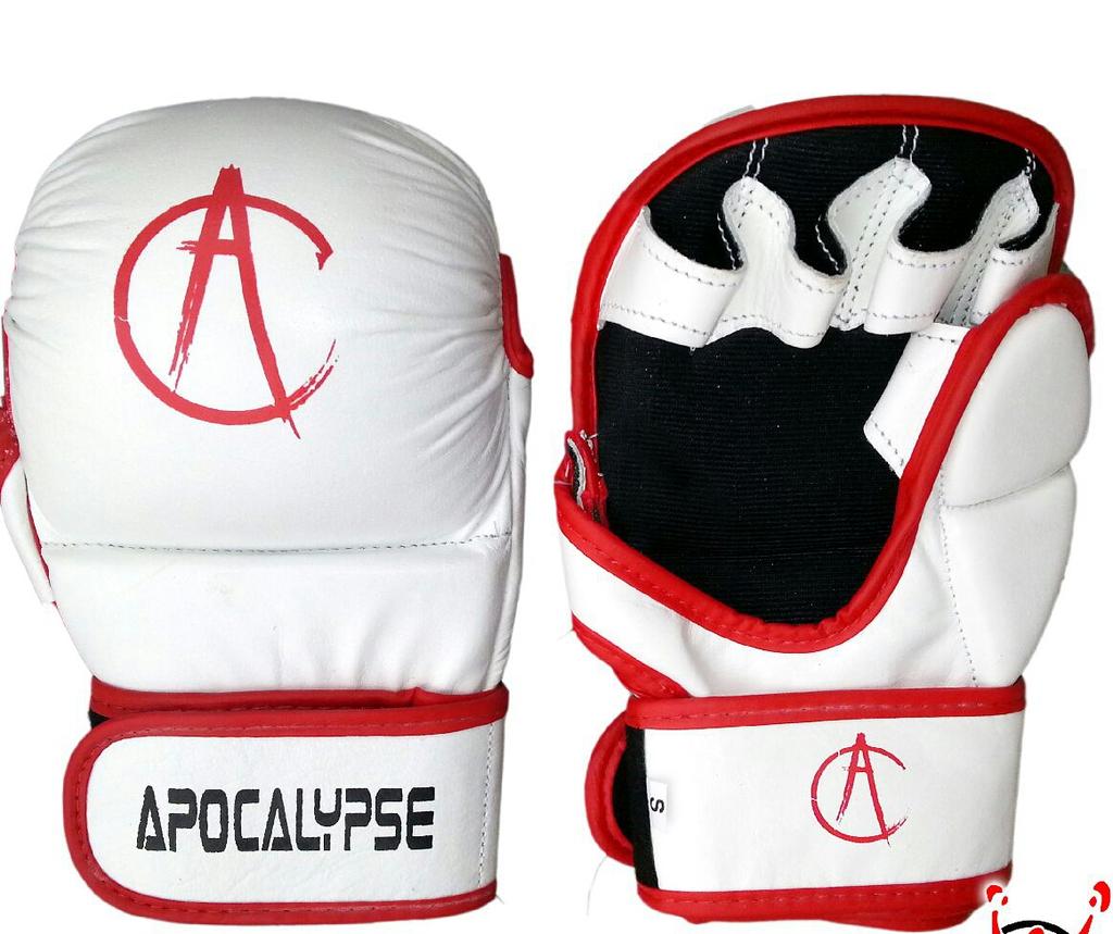Apocalypse FightGear tweet media