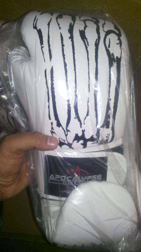 Apocalypse FightGear tweet media