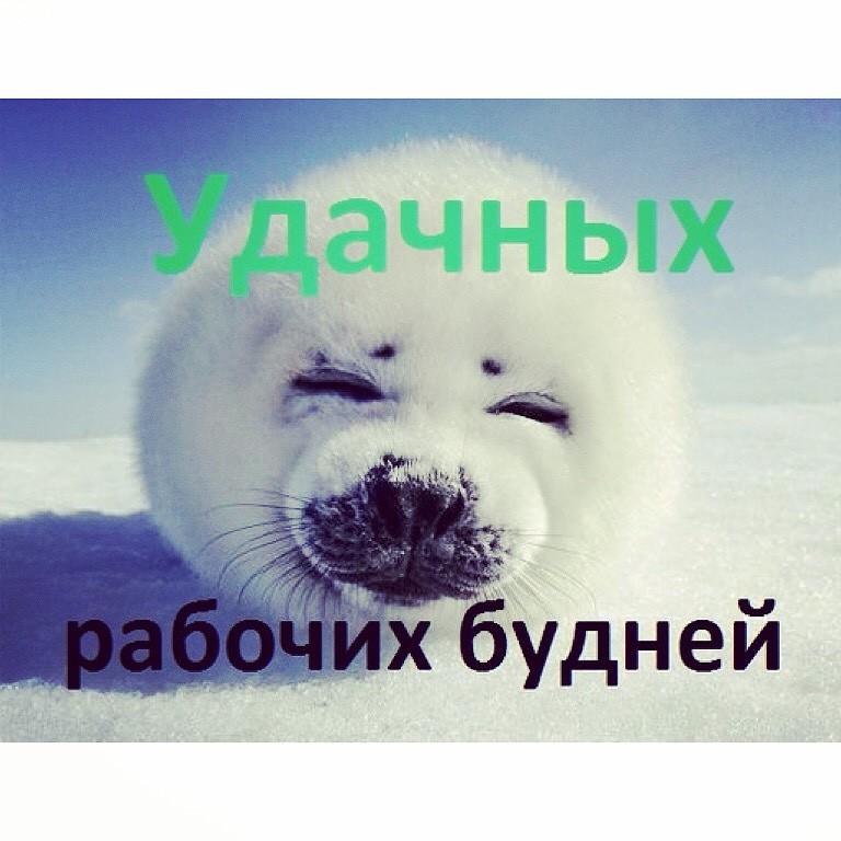 Открытки трудовые будни