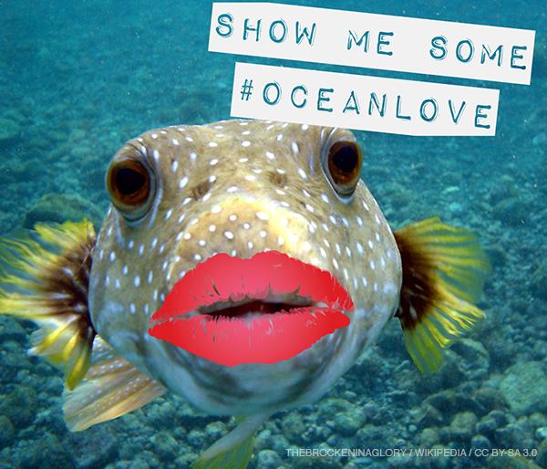 7 simple ways to save the ocean. Be part of a wave in the ocean, not a drop in it grnpc.org/IgeXb #Oceankiss