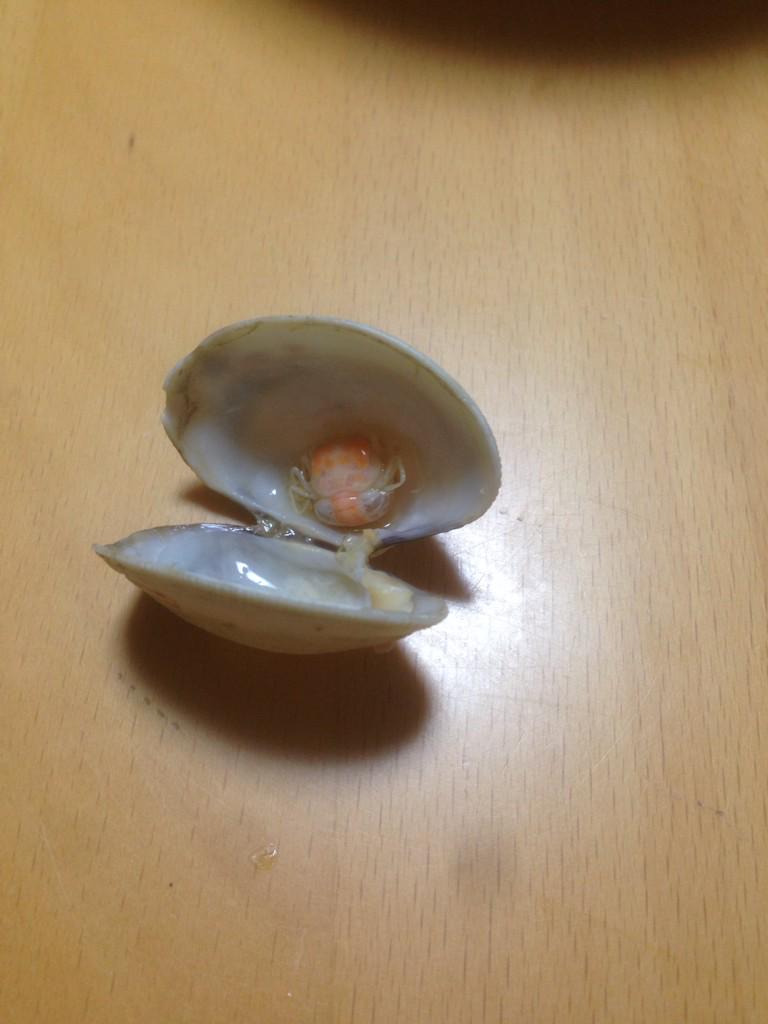 カニがあさりに混入 提供する店と人々の反応さまざま 2ページ目 Togetter