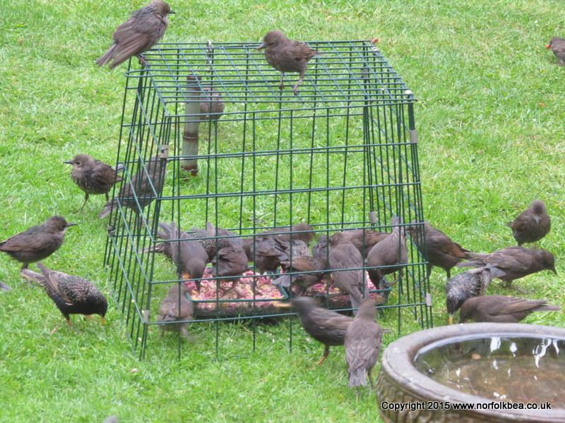 NorfolkBea's tweet image. @den_haven Same here. Tough running a small business #demandingcustomers ;)