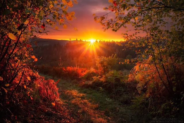 irza5769MBK's tweet photo. #RT Be Grateful for it,&amp; know that your #beauty &amp; #value come from the unique person you were made to be!#NmirzWisdom http://t.co/YGrJqenVEH