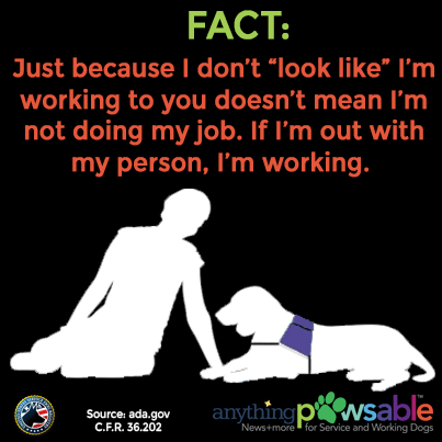 Opfreedompaws's tweet photo. Good reminder on Service Dog Etiquette: http://t.co/CtfmuGfjKW #servicedogs #education @ServiceDog http://t.co/K2dfEDAIKt
