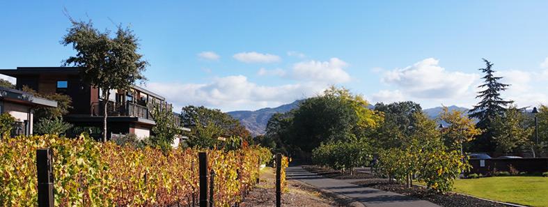 TopSnobs's tweet image. 5 Unique Ideas for a High-End Guys’ Getaway hubs.ly/y0qWmG0 #topnotes #luxtravel