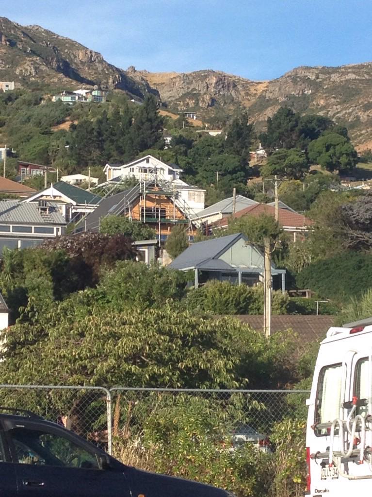 The "Lyttel"-Beauty within #lyttelton#beauty#eco