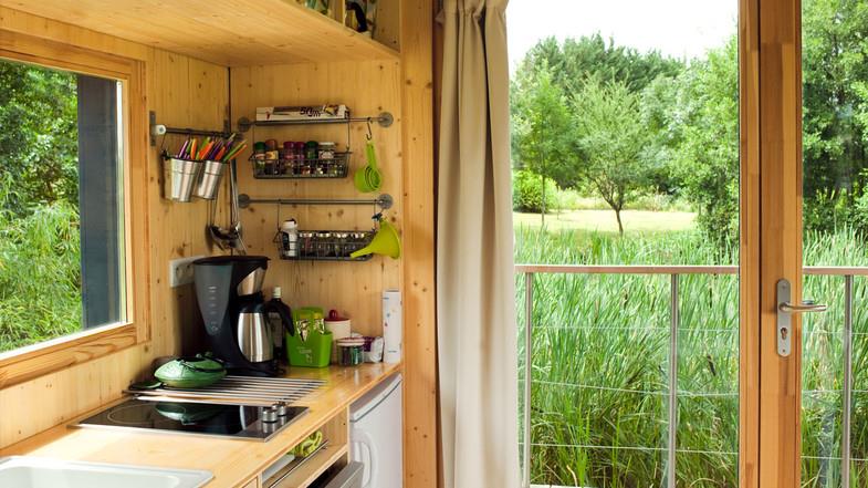 Domozoom tweet media