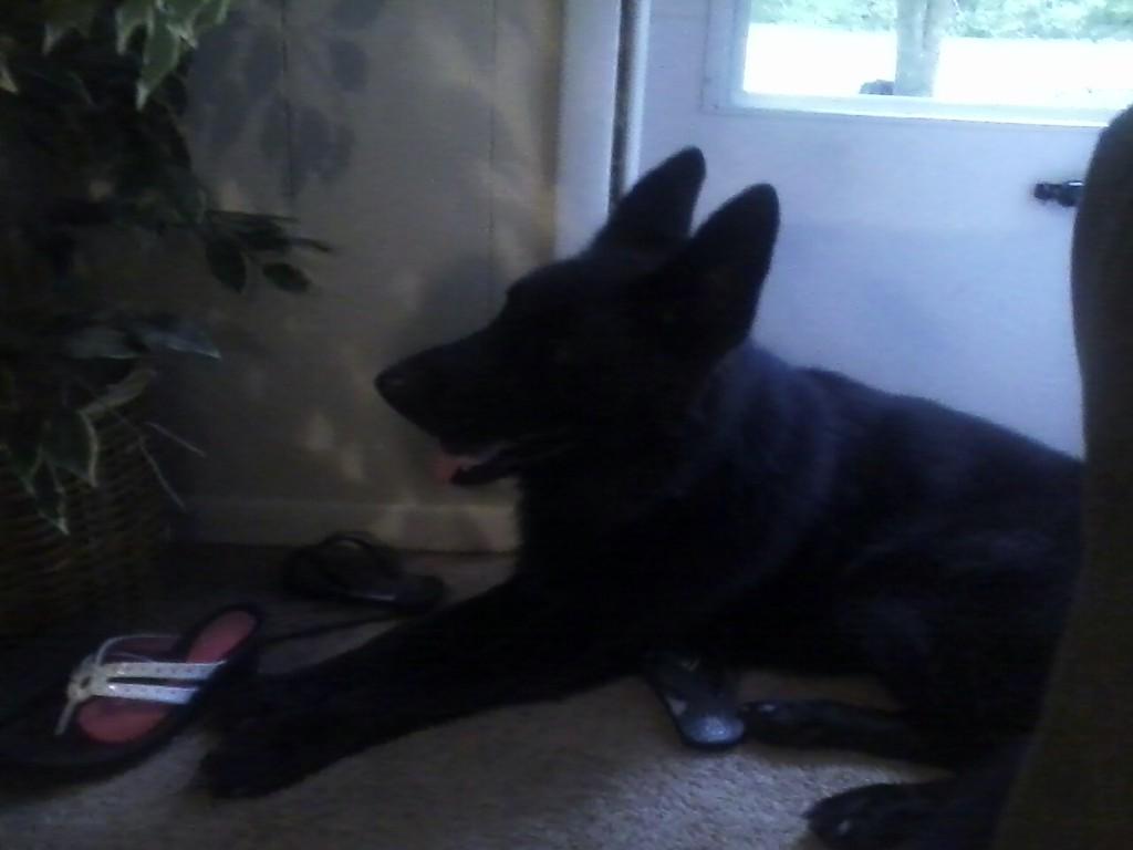 Albon1Allan's tweet photo. Just cooling http://t.co/k3nDEqEBPa