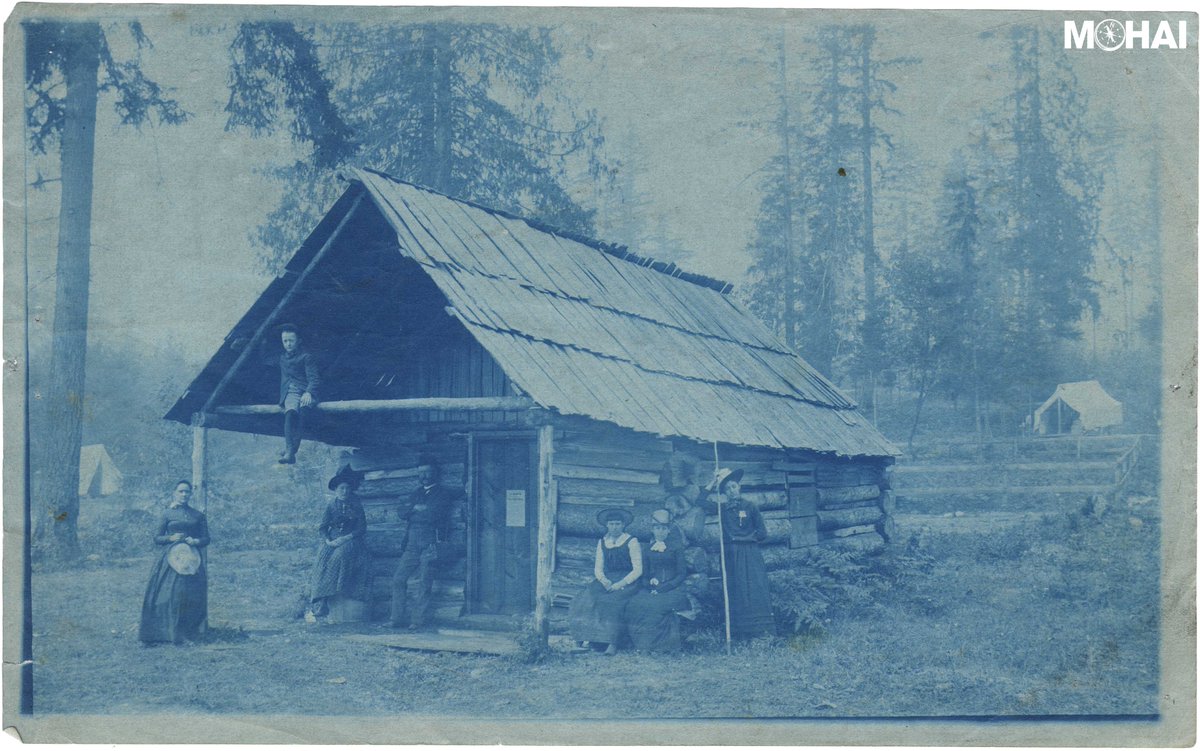 MOHAI's tweet photo. We're celebrating #BlueFriday w/ a 1890 #cyanotype from our collection. #TGIBG #GoHawks! #12thMuseum http://t.co/Jl8jaaO5yC