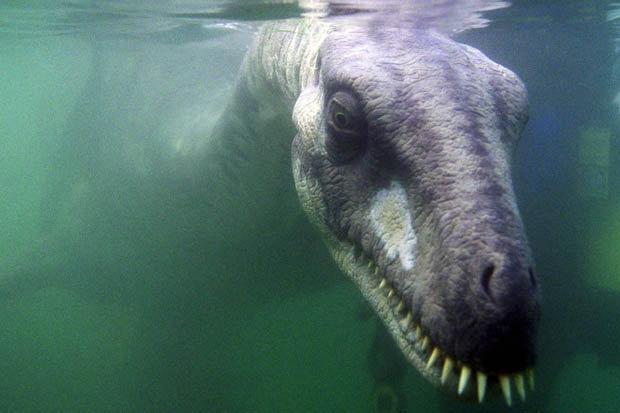 IsTheWeekend's tweet image. #Loch #Ness #monster&apos;s long lost relative discovered in #Scotland and it grew up to 14ft long mirror.co.uk/news/uk-news/l…