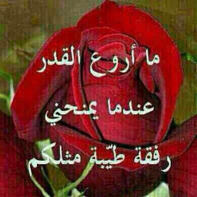 Isi83Sis's tweet photo. القدر له نرد عندما يرميه يداوي الجروح http://t.co/ncswtRGLA7